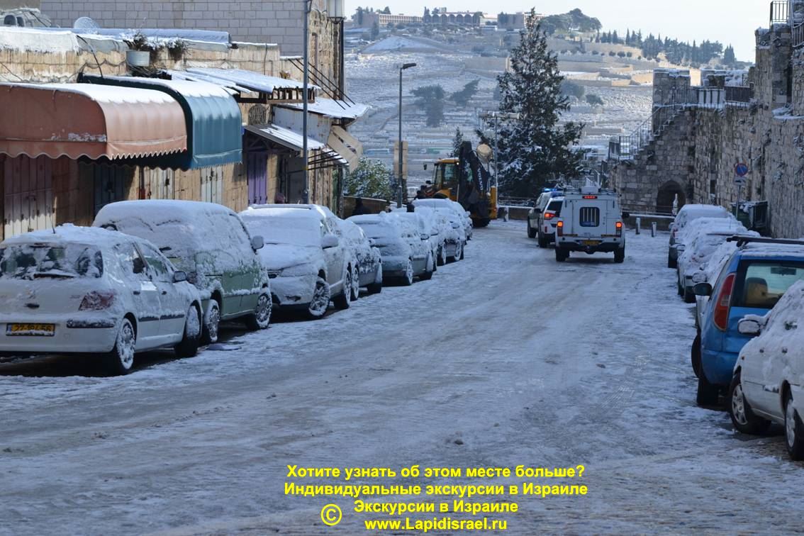 Цены на экскурсии в Израиле снег в Израиле аренда домов посуточно в кейсарии