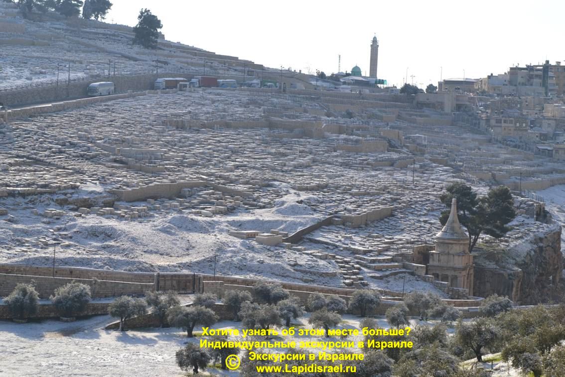 чстные экскурсии в Израиле с гидами масса бен гурион в контакте квартира недорого в иерусалиме